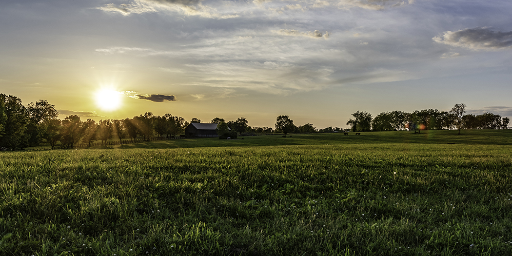 Sunset over a field